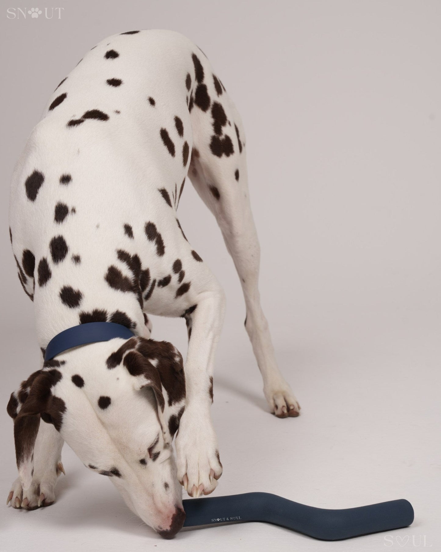 3-in-1 Dog Toy Set