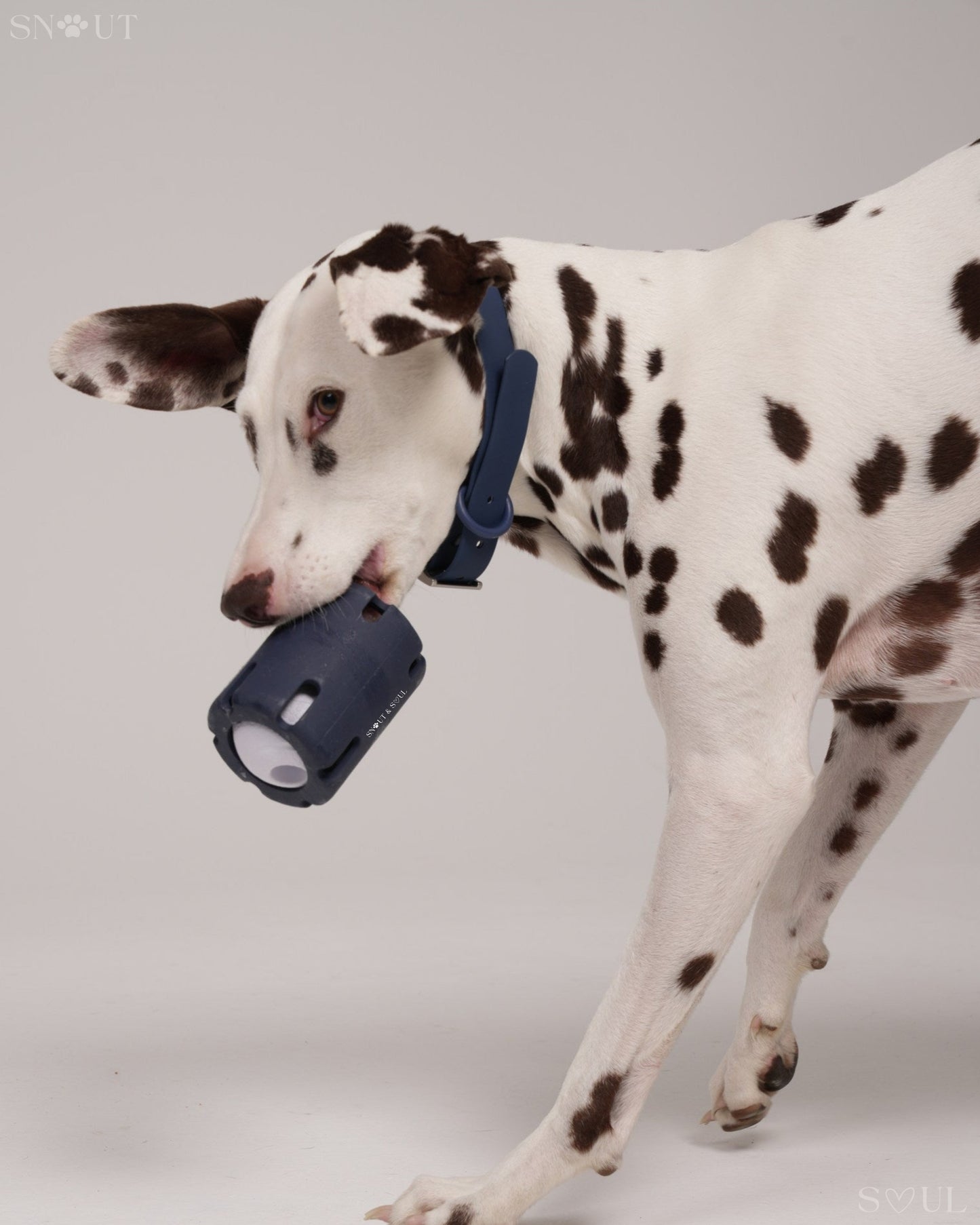 3-in-1 Dog Toy Set