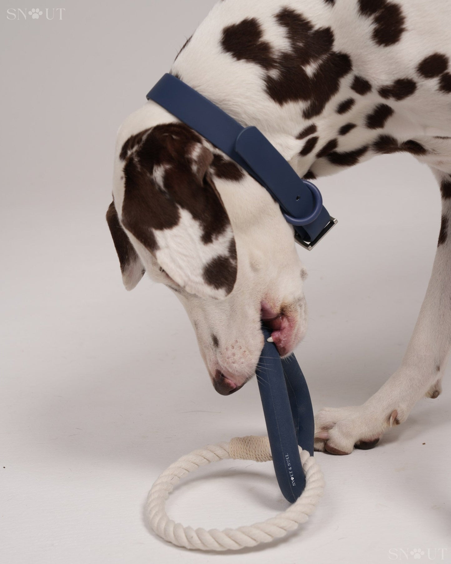 3-in-1 Dog Toy Set