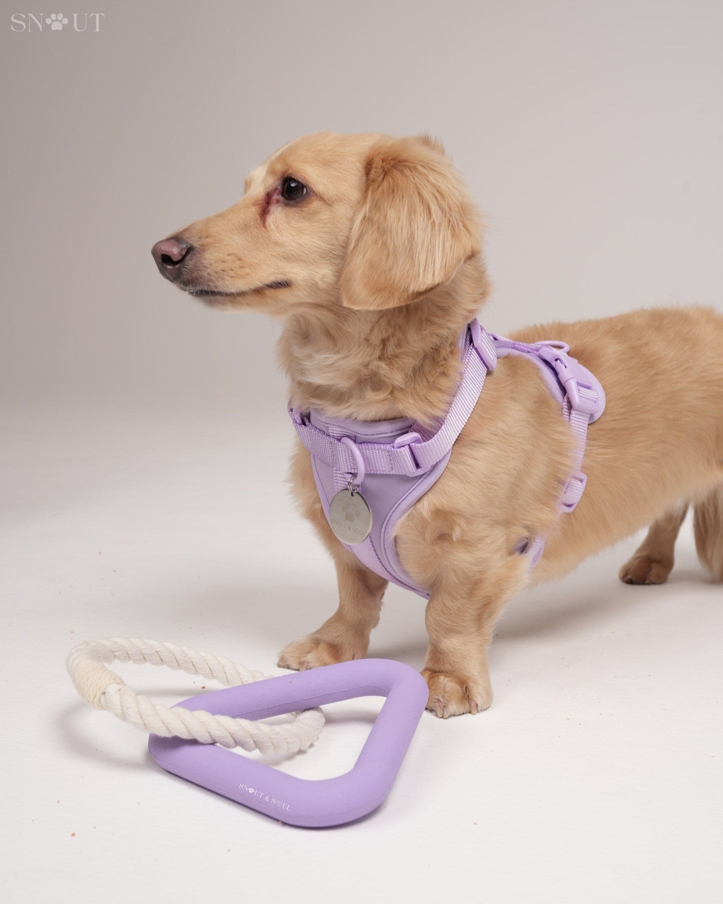 3-in-1 Dog Toy Set