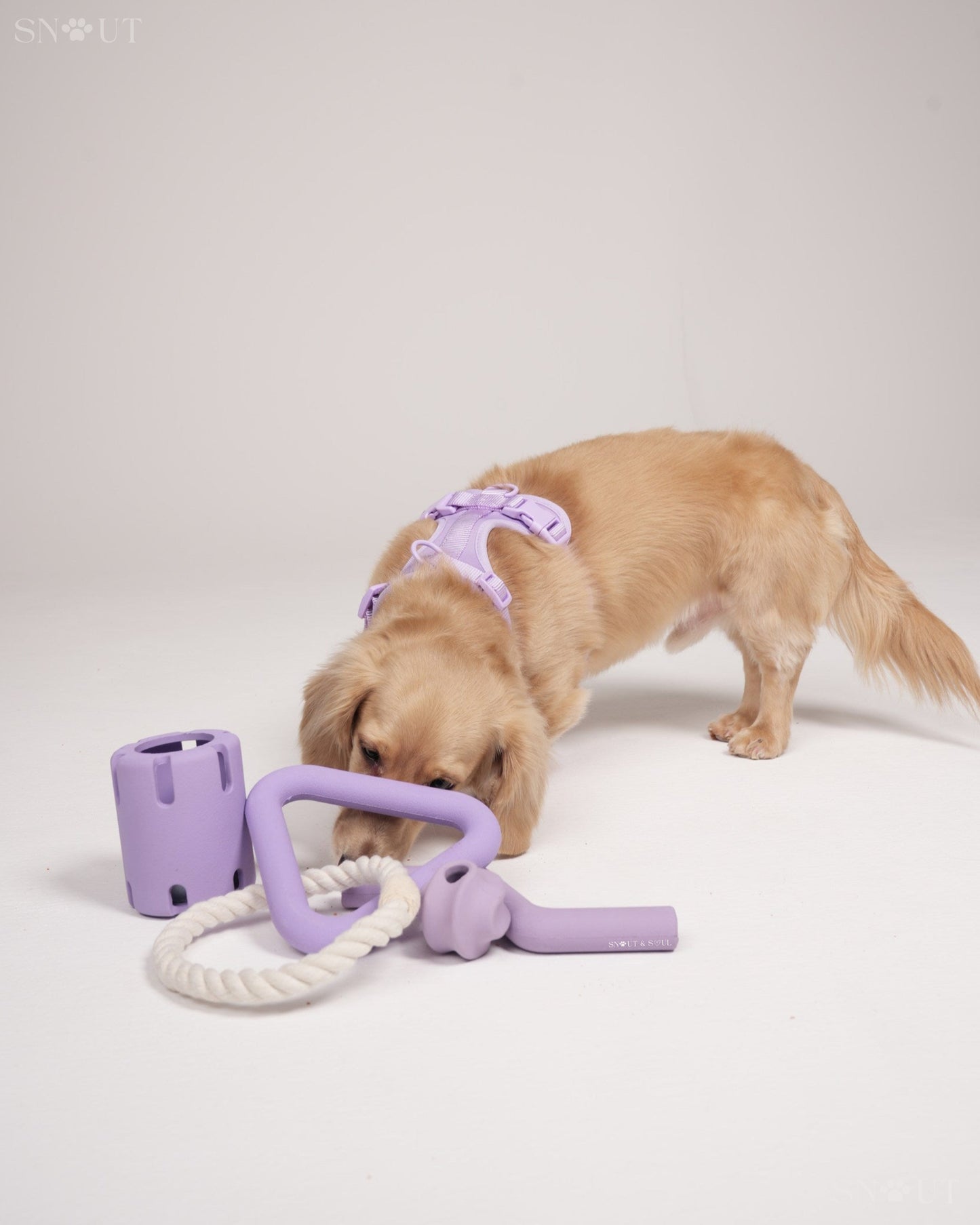3-in-1 Dog Toy Set
