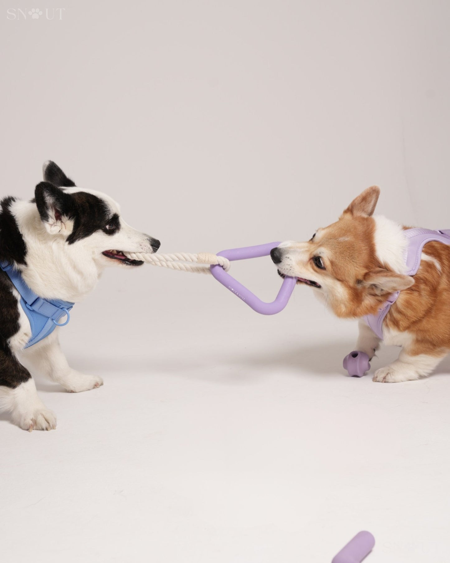 3-in-1 Dog Toy Set