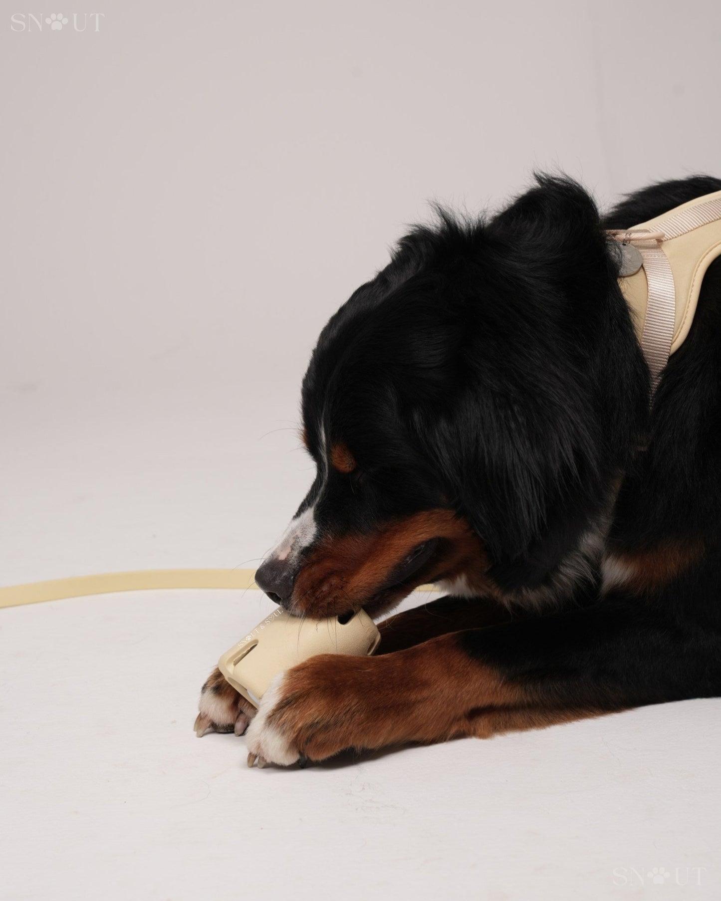 3-in-1 Dog Toy Set