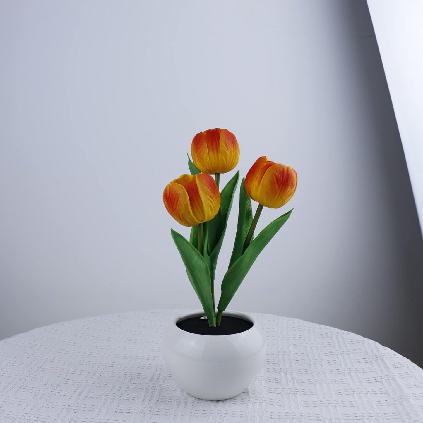 Tulip LED Lamp