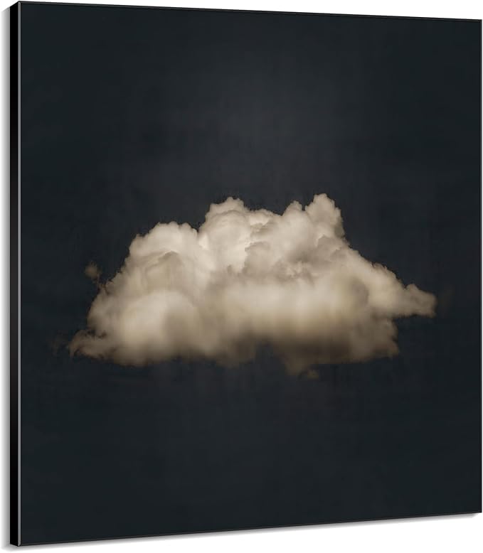 Stylish Home Wall Decor|HD Canvas Print, Multiple Sizes Available