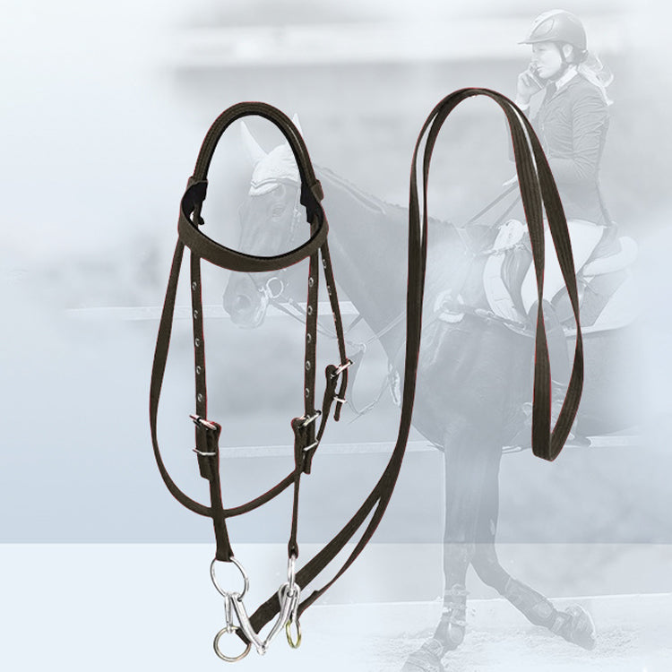 Mini Horse Bridle – Premium Black Leather for Style & Control 🐴✨