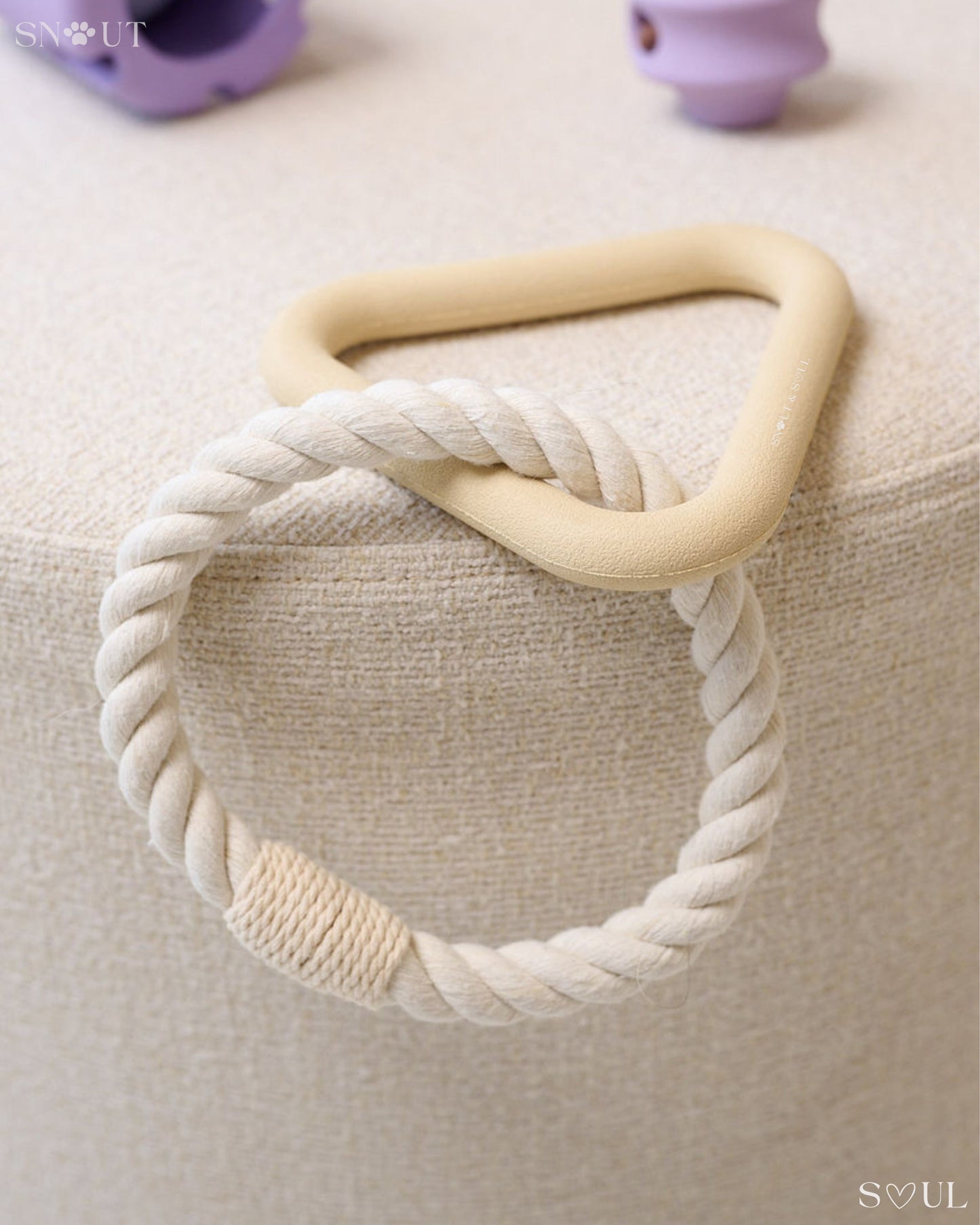3-in-1 Dog Toy Set