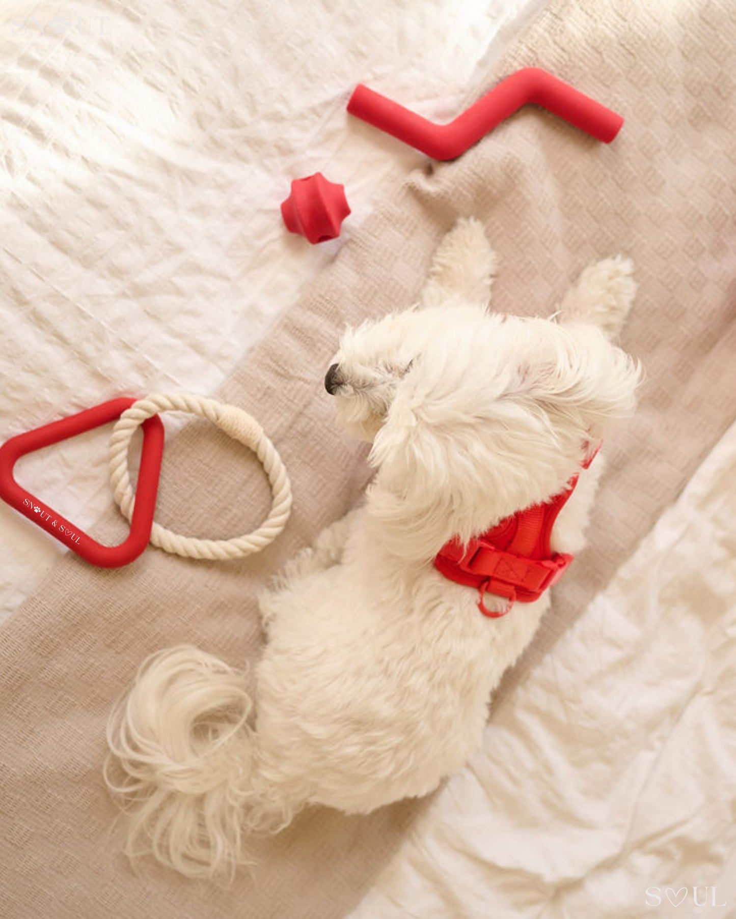 3-in-1 Dog Toy Set