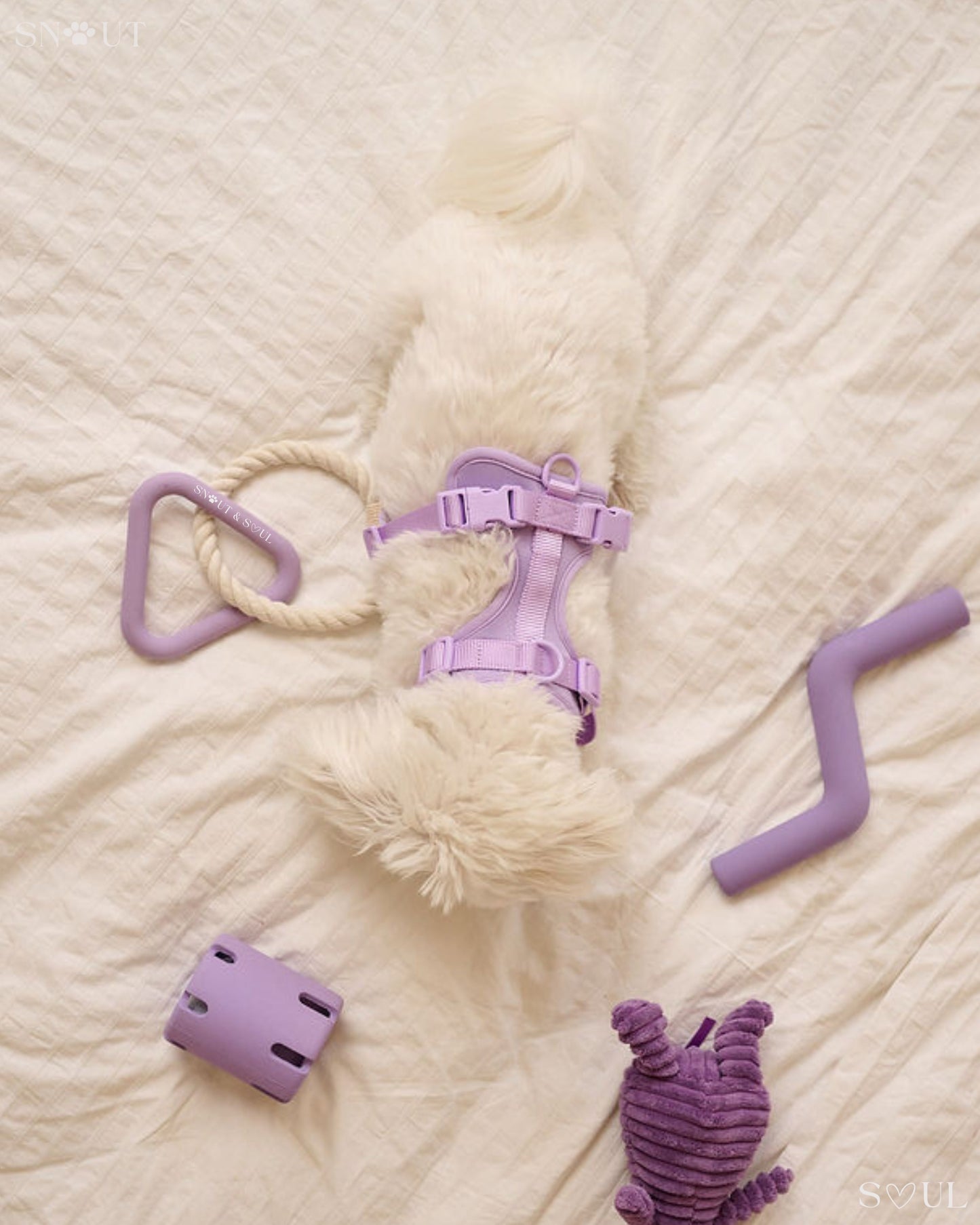 3-in-1 Dog Toy Set