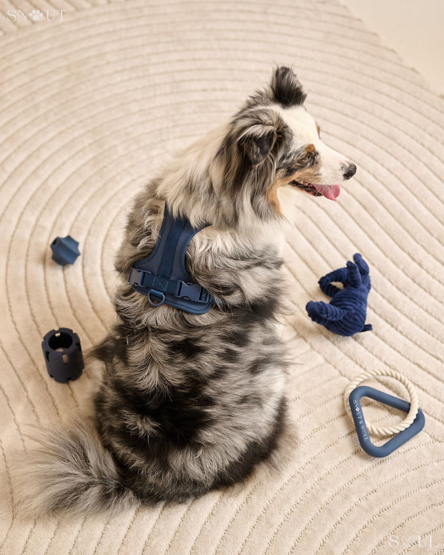3-in-1 Dog Toy Set