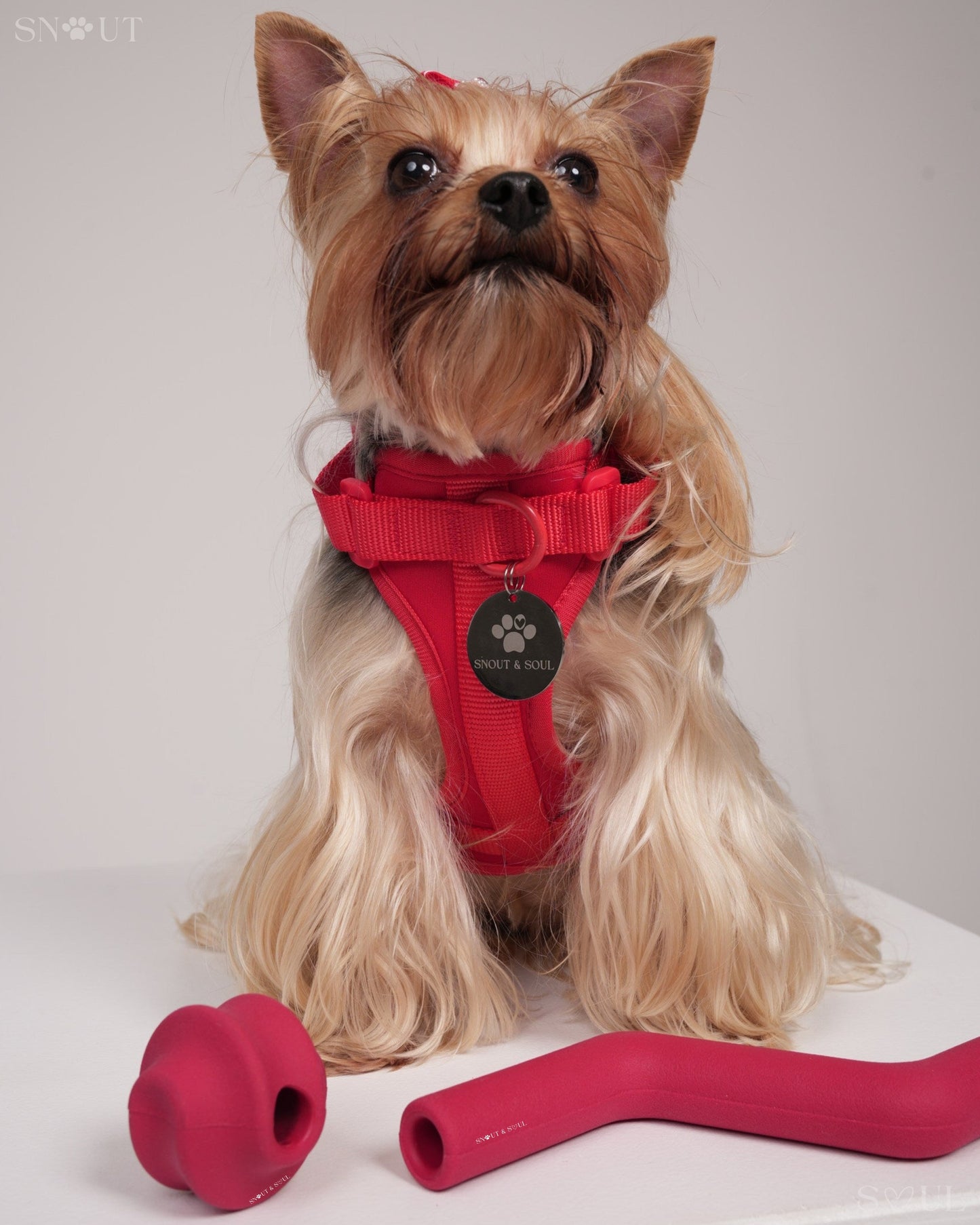 3-in-1 Dog Toy Set