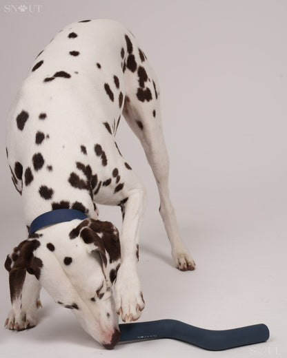 3-in-1 Dog Toy Set