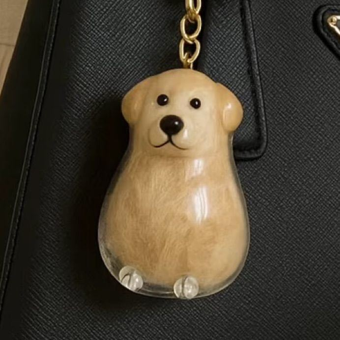 🐶 Pet Memorial Resin Keychain | Dog-Shaped Keepsake · Hair Compartment · Always With You 🔑