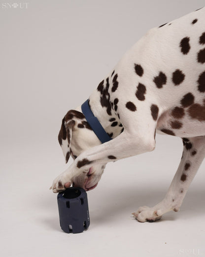 3-in-1 Dog Toy Set