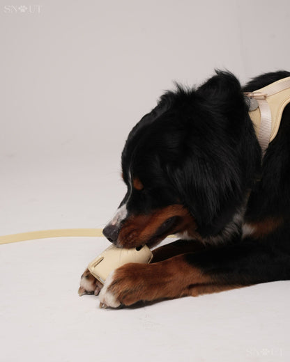 3-in-1 Dog Toy Set