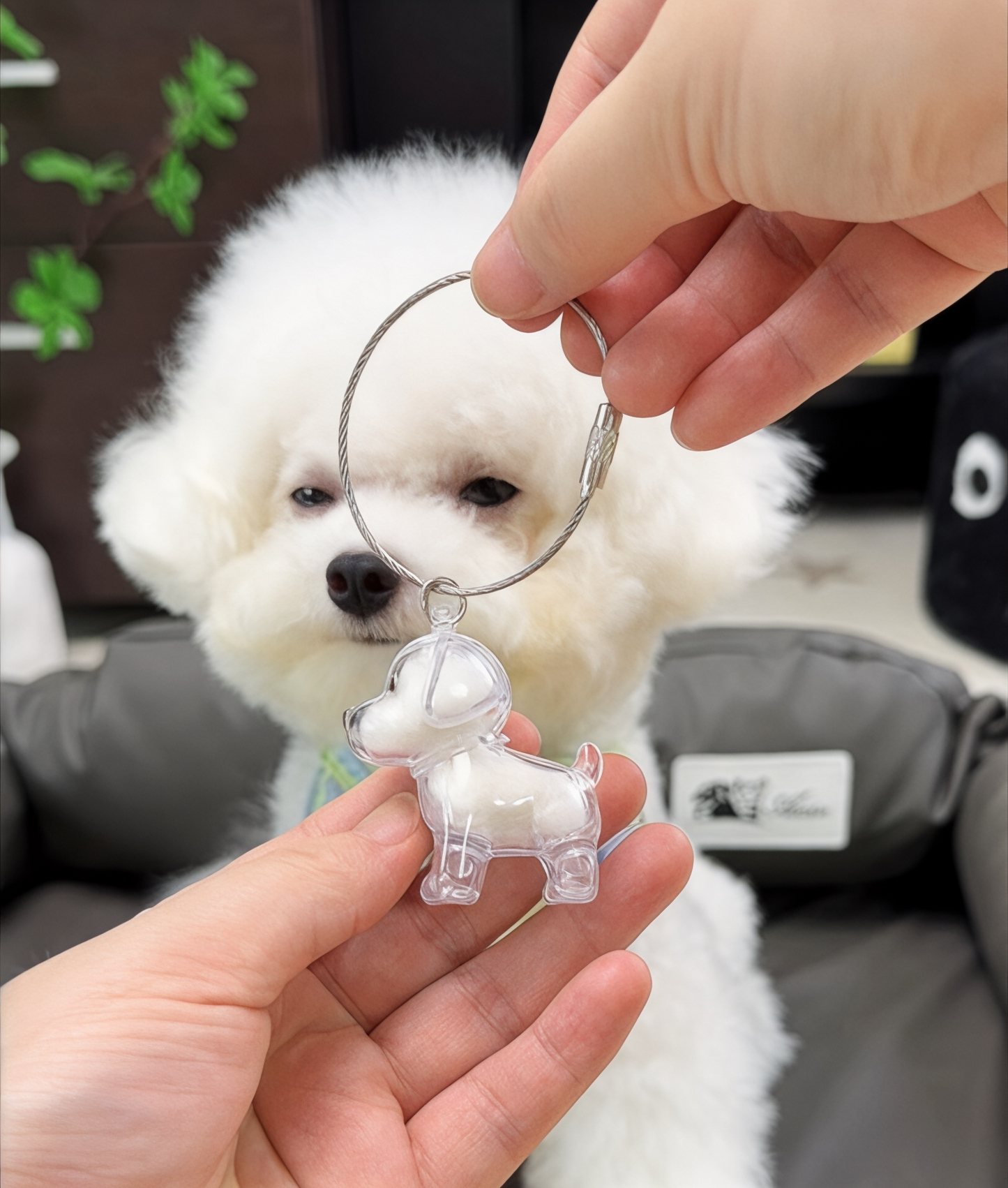 🐶 Pet Memorial Resin Keychain | Dog-Shaped Keepsake · Hair Compartment · Always With You 🔑