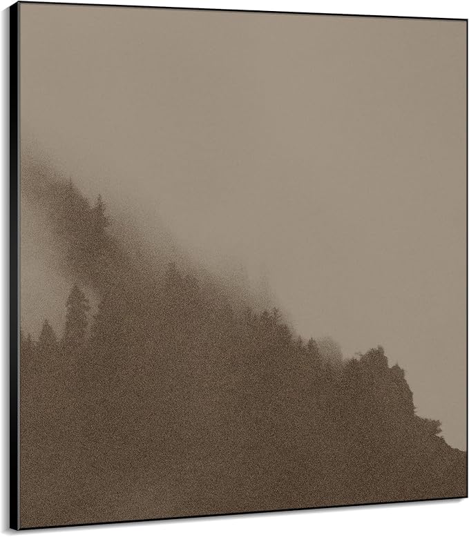 Stylish Home Wall Decor|HD Canvas Print, Multiple Sizes Available