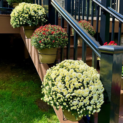 Railing Planter Bracket — Tool-Free Mounting, Sturdy Hold, Seasonal Style Upgrade🌿