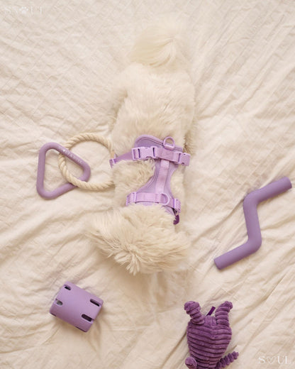 3-in-1 Dog Toy Set